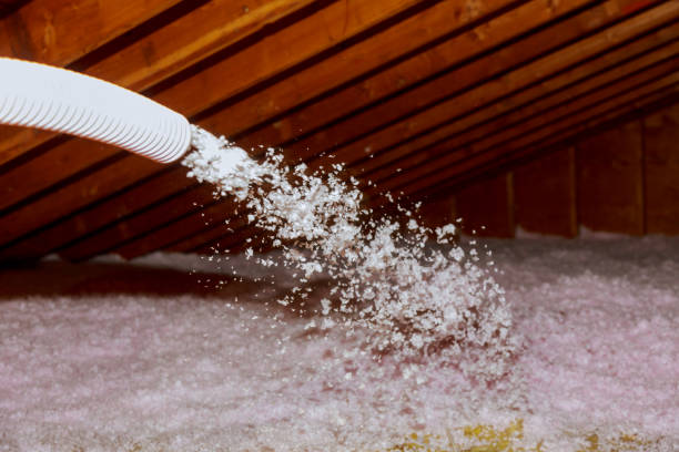 Best Eco-Friendly or Green Insulation Solutions  in Pine Hills, CA